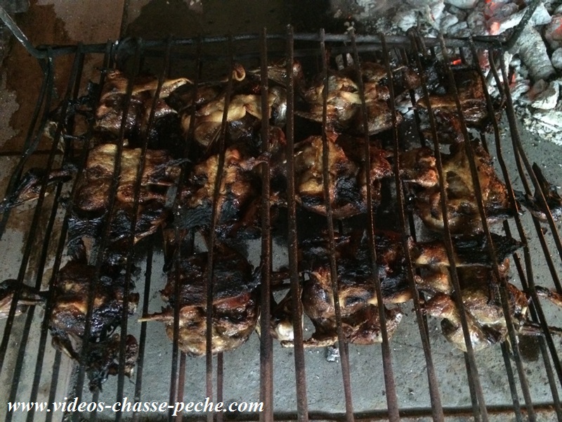 recette grive crapaudine recette grive crapaudine